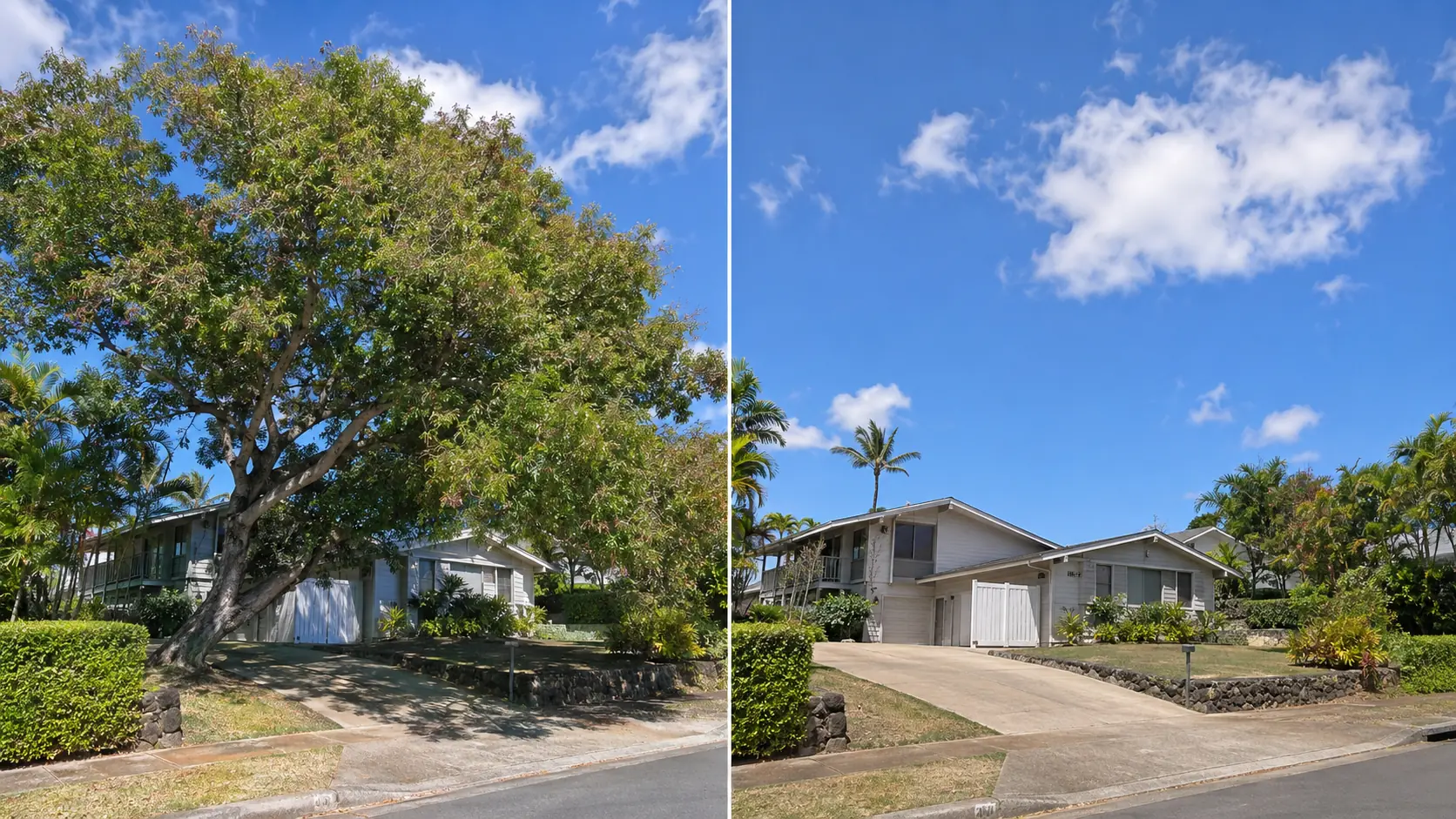 Before and after tree removal at an Aiea residence