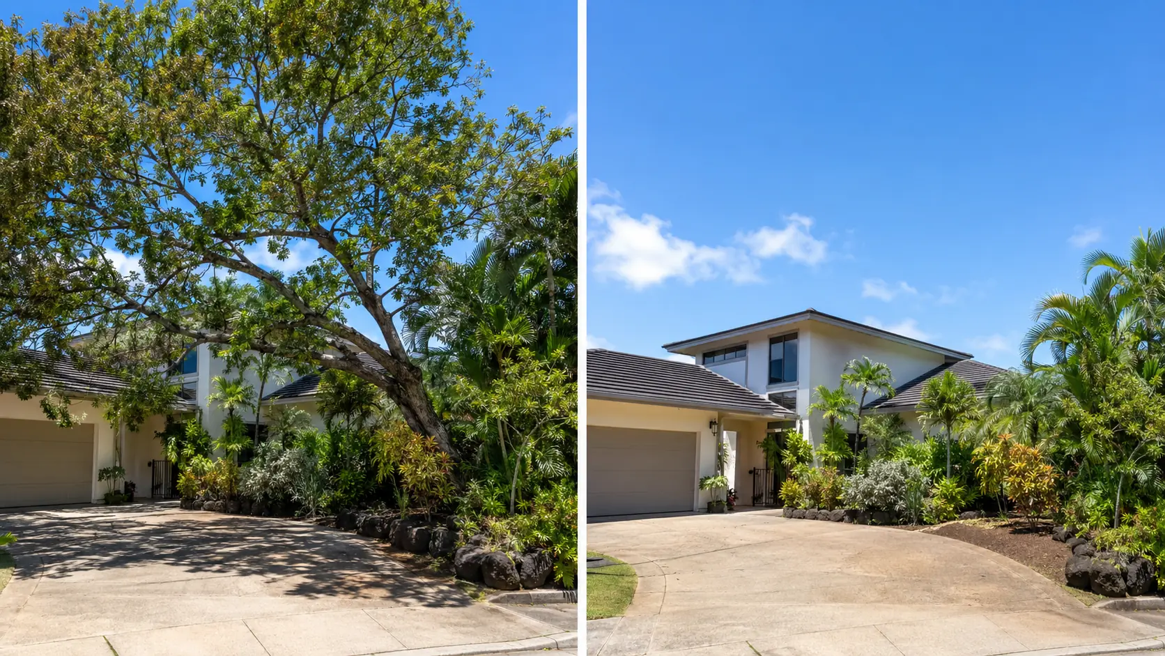 Before and after tree removal at a Hawaii Kai residence