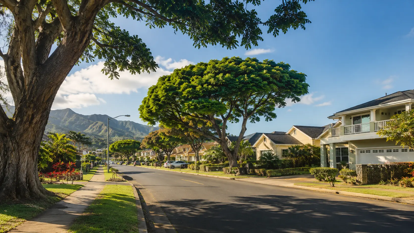 Residential street with tropical trees in Kaimuki, Hawaii