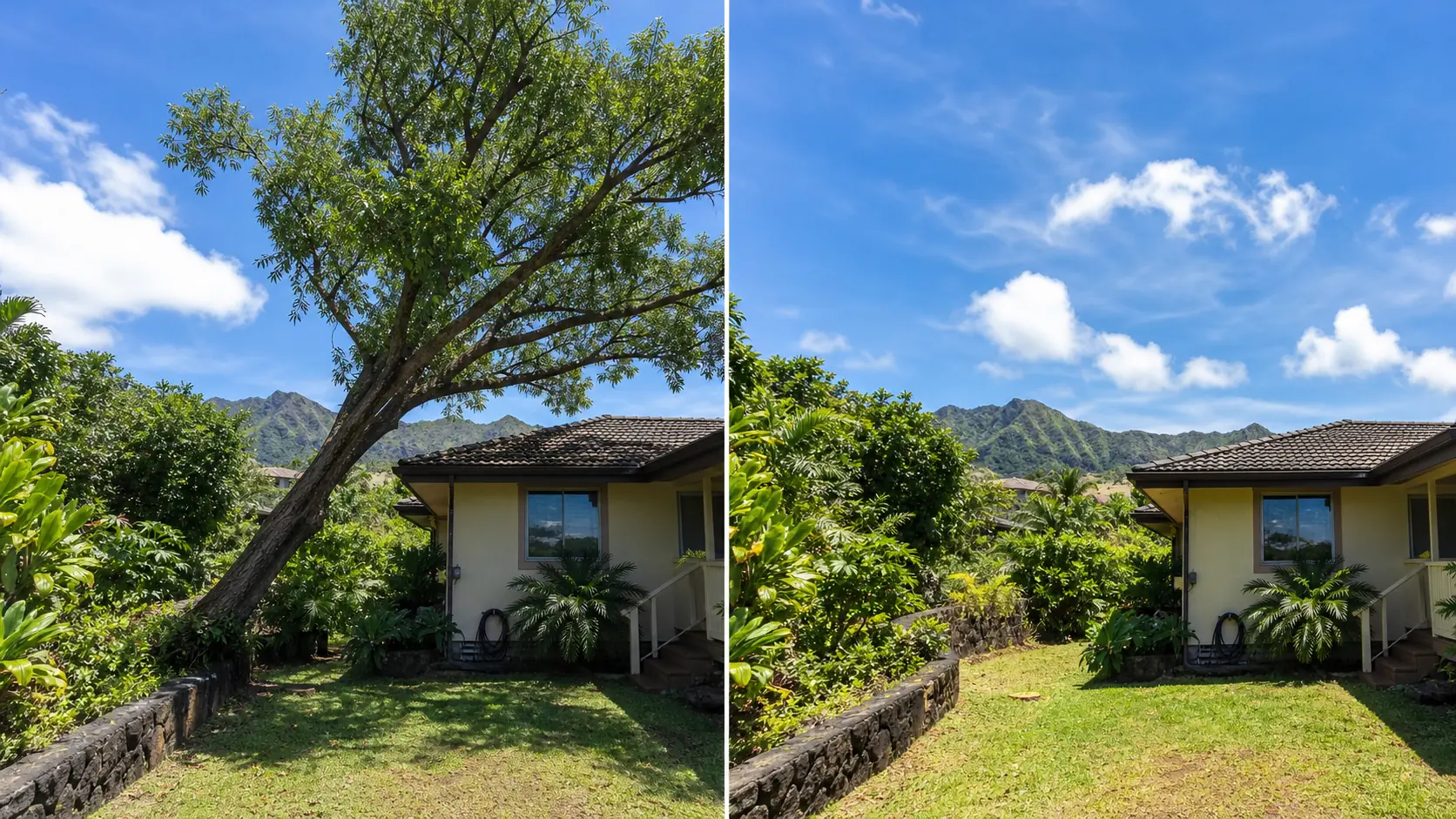Before and after tree removal at a Kaneohe residence