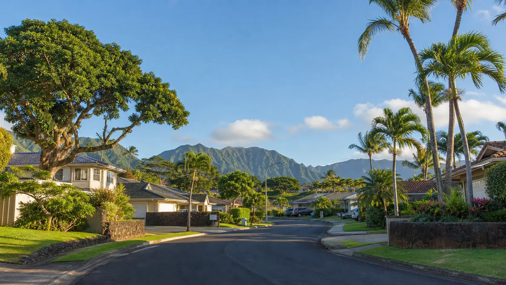 Residential street with mature tropical trees in Kaneohe, Hawaii