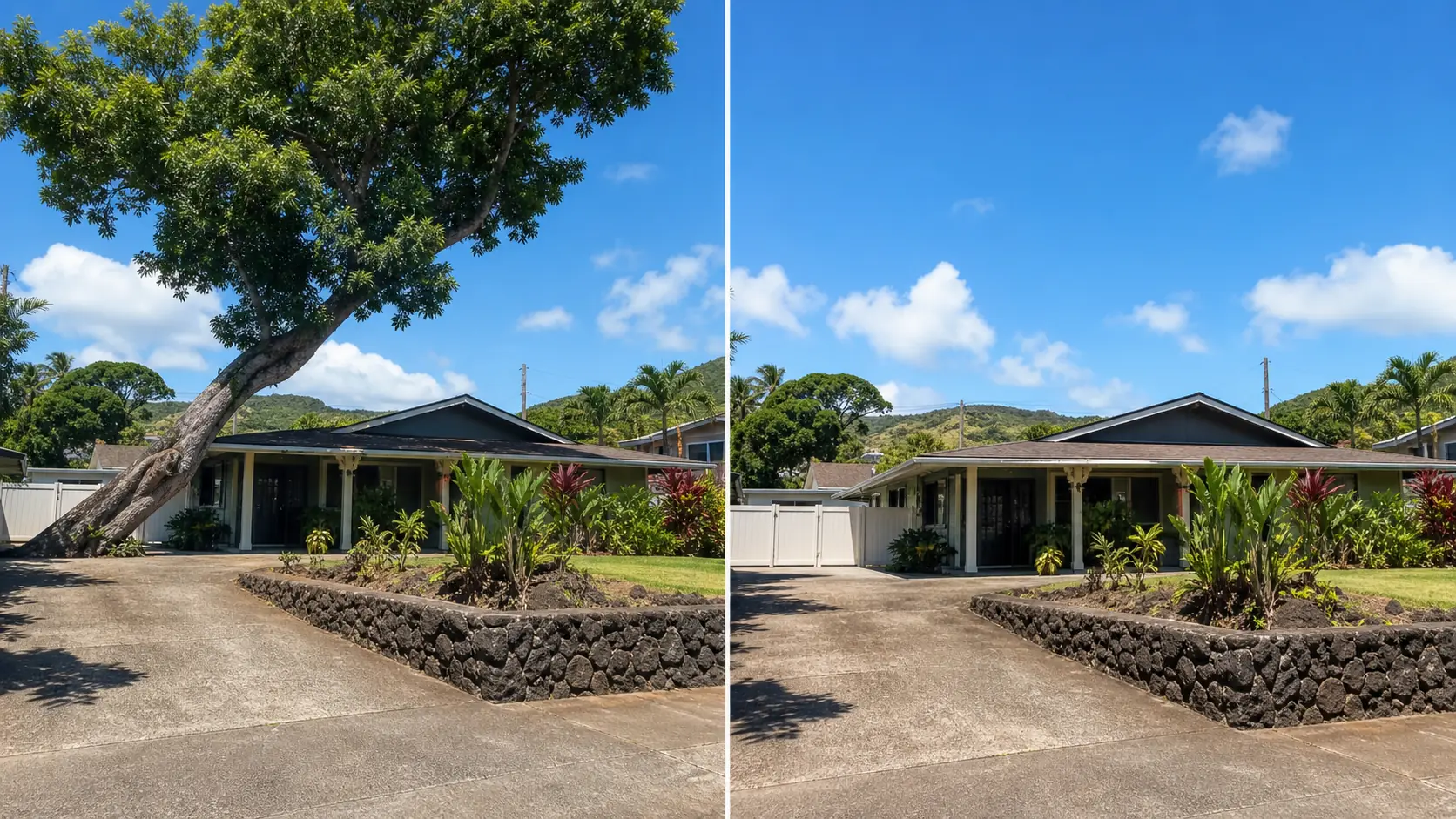 Before and after tree removal at a Pearl City residence
