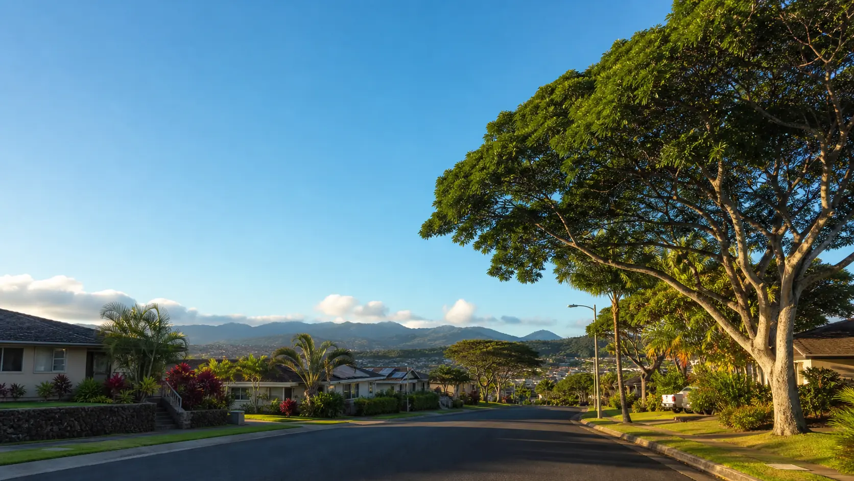 Residential street with tropical trees in Pearl City, Hawaii